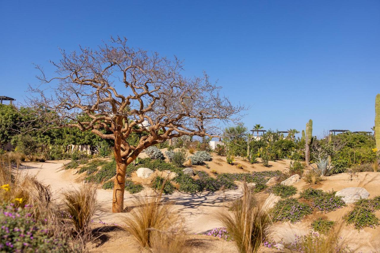 Kimpton Mas Olas Resort And Spa Todos Santos Luaran gambar